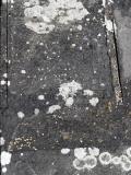 image of grave number 693357